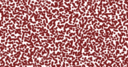 Preview: Micro shot under the microscope of red bacteria
