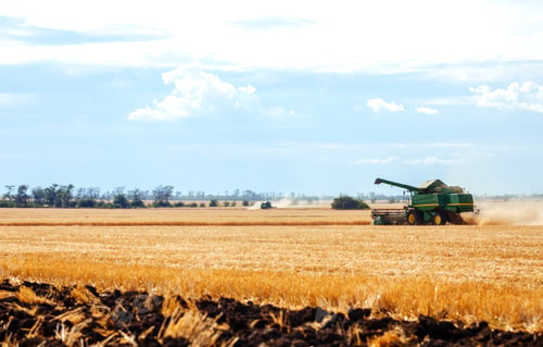 Preview: Time to harvest! Beautiful view of the work of the combine harvesting wheat. Harvester machine.