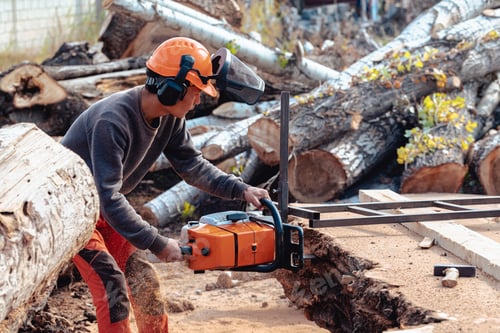 Preview: Lumberjack cutting tree trunk with giant chainsaw to make wooden planks