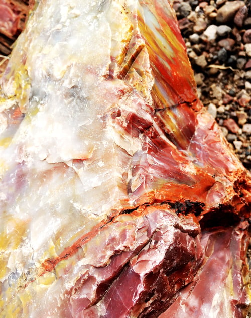 Preview: Fossil woods in Petrified Forest National Park