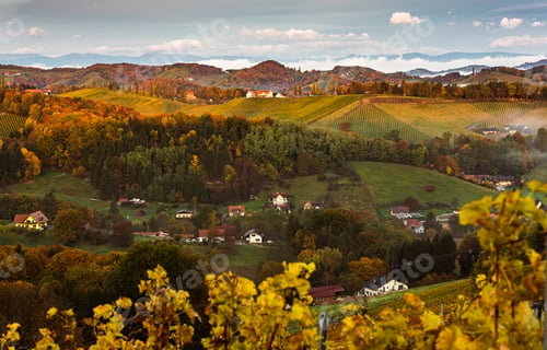 Preview: South styria vineyards landscape, Tuscany of Austria. Sunrise in autumn