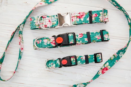 Preview: Dog Collar and Leash set. Pet Supplies and Walking Gear Collection