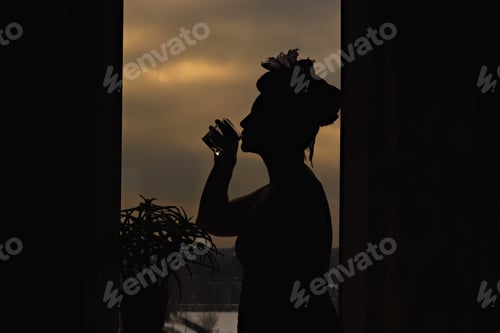 Preview: Female silhouette with a flower in the window