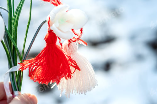Preview: Delicate spring flowers snowdrops with white and red Bulgarian symbol of spring martisor. Baba Marta