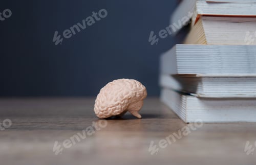 Preview: A close-up image of a human brain model next to a stack of books against a dark background.