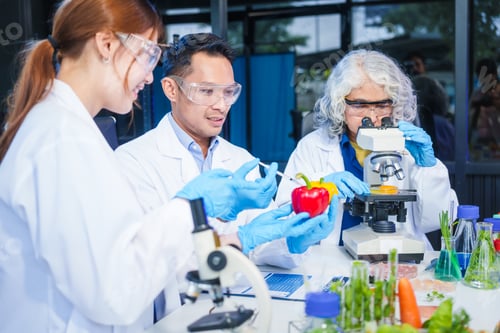 Preview: A male scientist and two women conduct plant research in a laboratory. microscopes, petri dishes