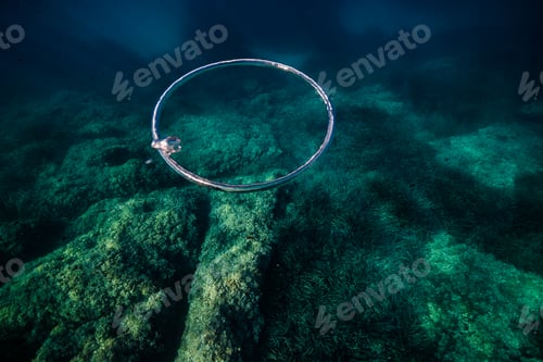 Preview: Toroidal bubble near coral reefs under ocean water