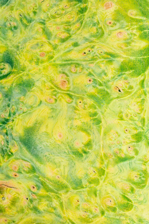 Preview: Macro photography of a stabilized wooden block with a color dye,