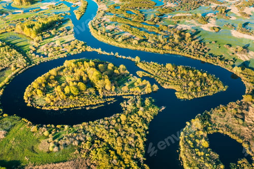 Preview: Aerial View Green Forest Woods And River Landscape In Sunny Spring Summer Day. Top View Of Nature