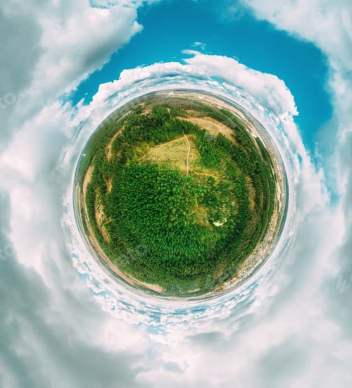 Preview: Aerial View Green Coniferous Forest Pines Woods Landscape In Sunny Spring Day. Top View Of Beautiful