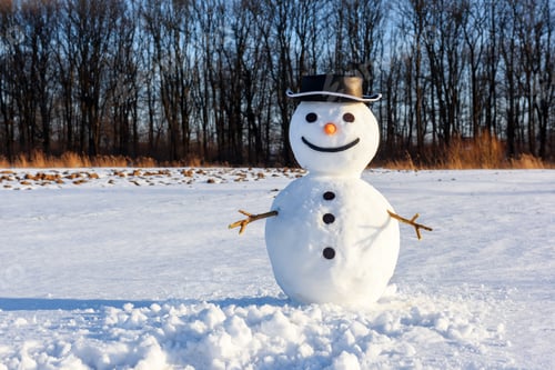 Preview: Funny snowman in black hat