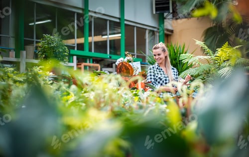 Preview: Customer woman in garden center looking for plants