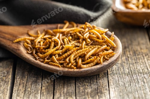 Preview: Fried salty worms. Roasted mealworms on wooden spoon.