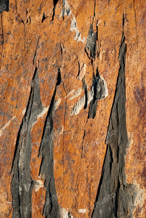 Preview: Shale stone