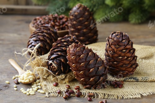 Preview: Pine Cones and Nuts