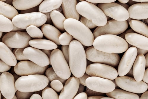 Preview: Pile of white kidney beans background close-up top view, source of vegetable protein, healthy eating