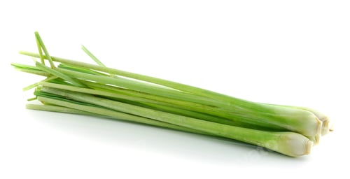 Preview: Lemon grass on white background