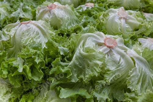Preview: Healthy and diet food background
