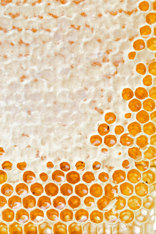 Preview: Honeycombs with honey. Natural background.