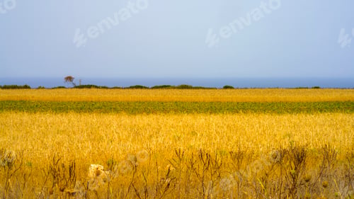 Preview: Coast of Salento near Otranto and Leuca at summer