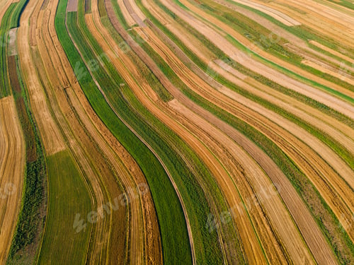 Preview: Geometric Shapes of Rows in Countryside and Farmlands. Polish Countryside at Summer