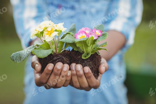 Preview: Close up of man holding flowers in the garden