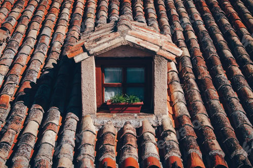 Preview: Rooftop. Pattern. Window. Orange. Rural.