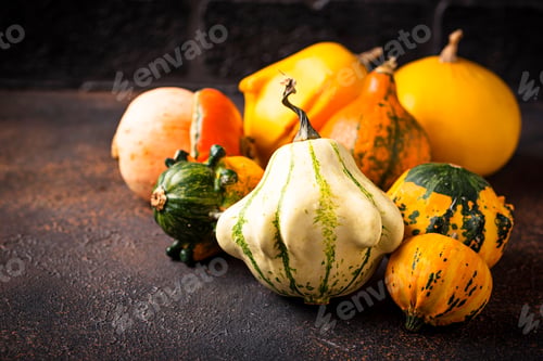 Preview: Assortment of decorative colorful pumpkins