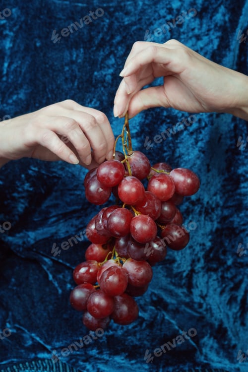 Preview: Hands holding a bunch of red grapes against a blue velvet background.
