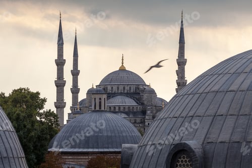 Preview: 54547,Domes and towers of Blue Mosque, Istanbul, Turkey