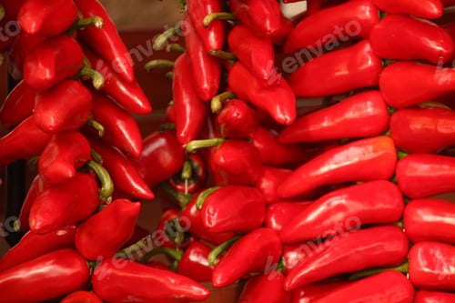 Preview: Vibrant Red Chili Peppers in Bunches