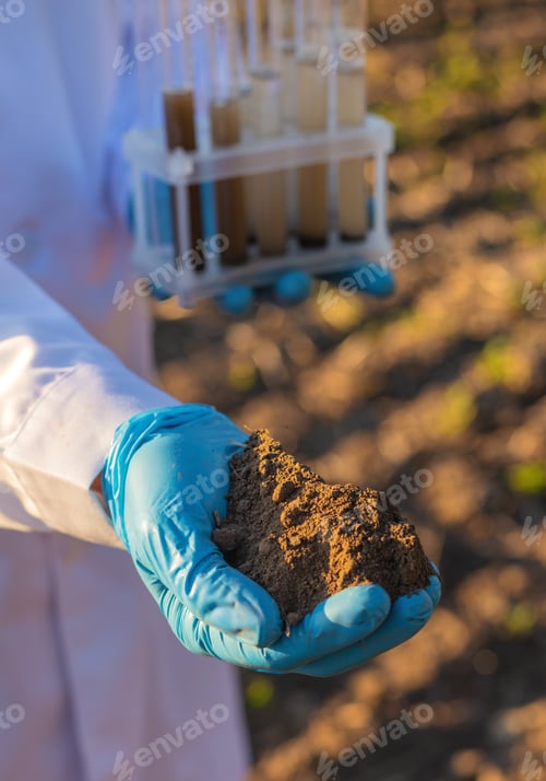 Preview: Field soil samples for analysis. Selective focus.