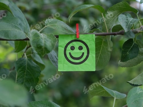 Preview: A green paper note with a happy face on it attached to a tree branch with a clothes pin