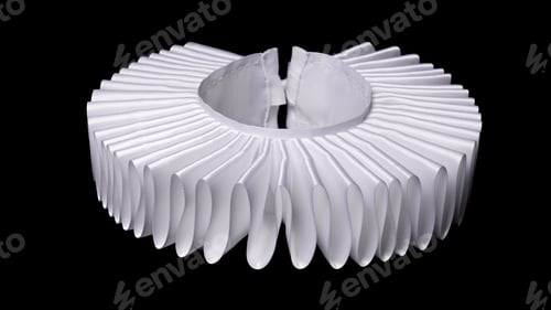 Preview: white ruff or ruffled collar isolated on black background
