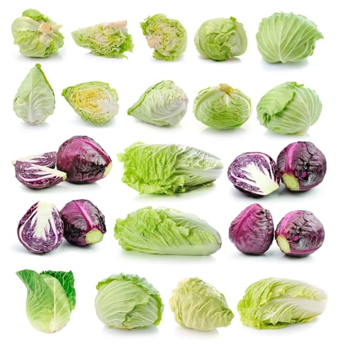 Preview: cabbage isolated on white background