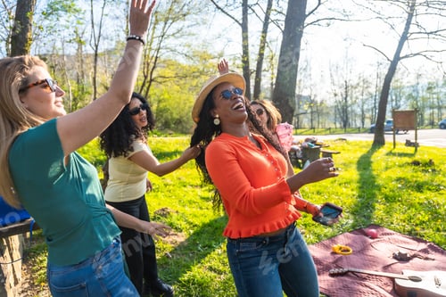 Preview: Four cheerful women dancing and having fun at a picnic in the park