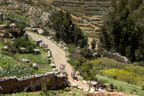 Preview: Isla del Sol on Titicaca lake