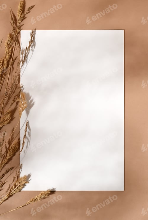 Preview: Blank paper with dry branches