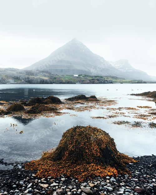 Preview: Typical Iceland landscape with ship