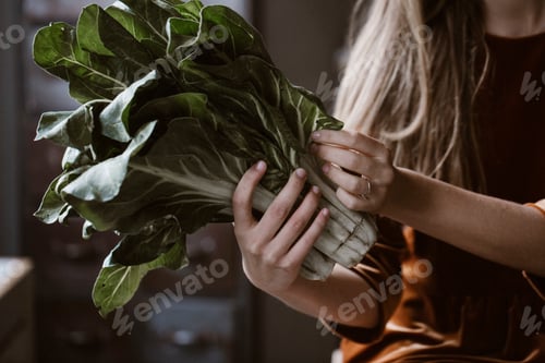 Preview: Hands of woman holding chard