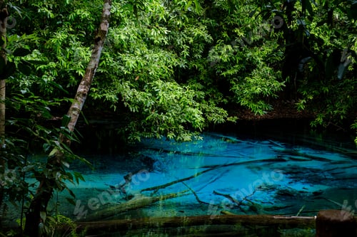Preview: Blue or emerald pool in National park Sa Morakot, Krabi, Thailand.