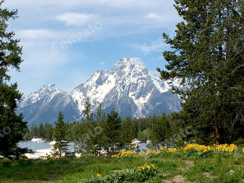 Preview: Beautiful Grand Teton National Park.-Wyoming landscapes & nature background while traveling USA