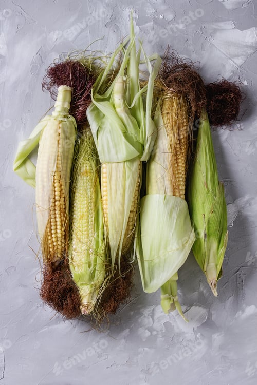 Preview: Young raw corn cobs