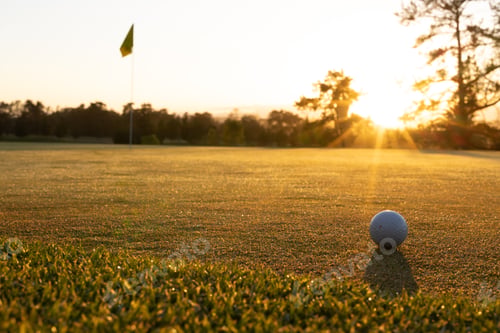 Preview: Sunlight streaming through trees and golf ball on grassy land against clear sky during sunset