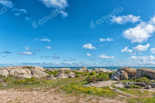 Preview: Plankiesbaai at Postberg near Langebaan on the Atlantic Ocean coast