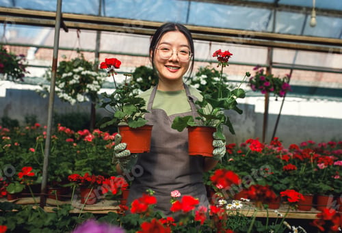 Preview: Asian woman working in flowers greenhouse and looking at camera.