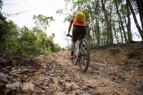 Preview: Woman cyclist cycling on mountain top forest trail