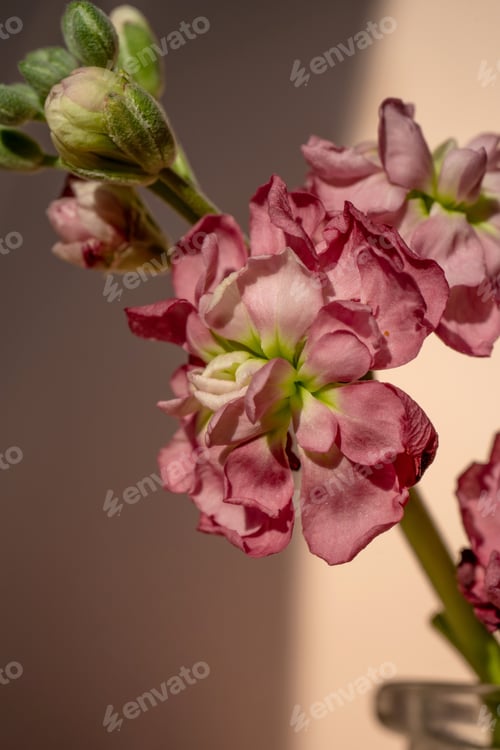 Preview: Beautiful abstract background with flowers and vases