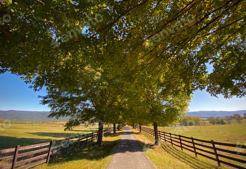 Preview: Country road wide angle trees and fences symmetrical