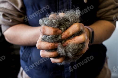 Preview: Close up of woman holding bunch of horse hair filling for saddle.